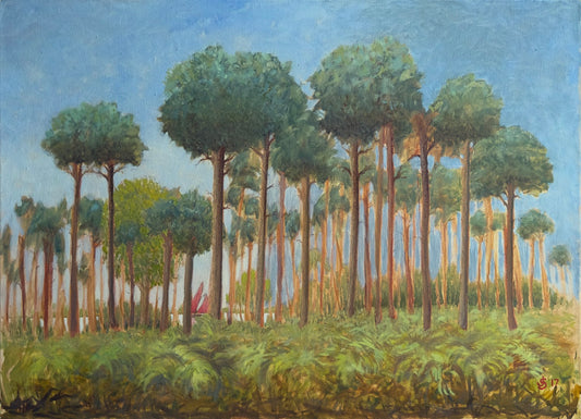 Pine Trees