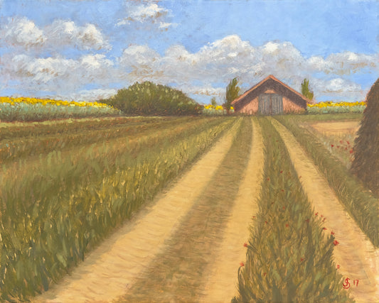 Sunflowers